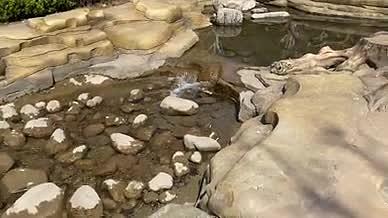 自然风景河流实拍视频素材视频的预览图